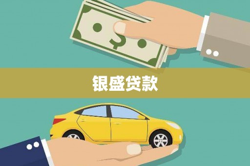 大园银盛贷款