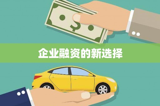 大园企业融资的新选择