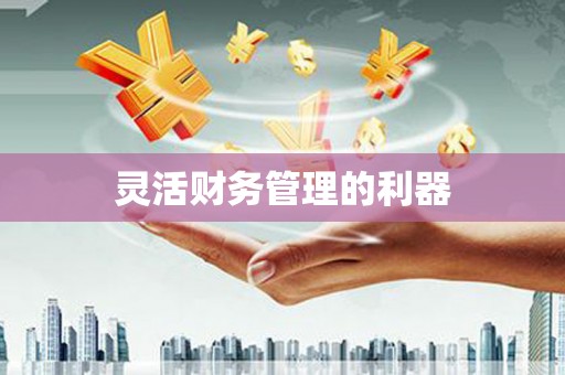大园灵活财务管理的利器