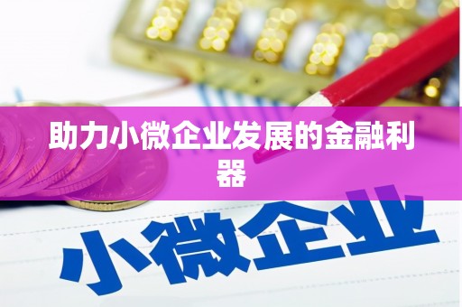大园助力小微企业发展的金融利器