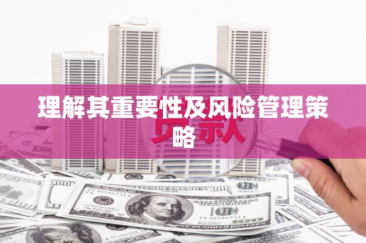 大园理解其重要性及风险管理策略