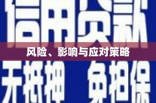大园风险、影响与应对策略