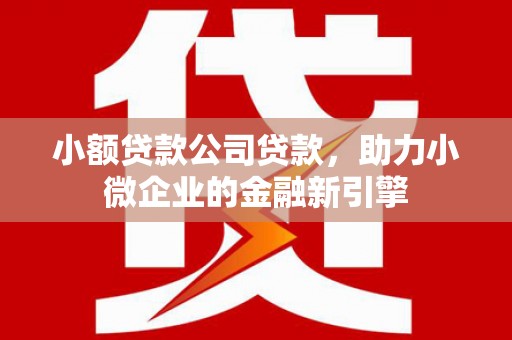 大园小额贷款公司贷款，助力小微企业的金融新引擎