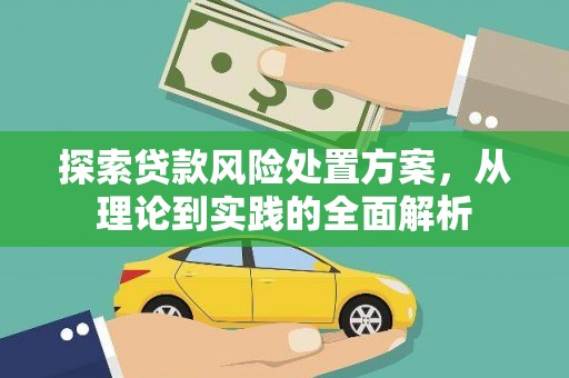 大园探索贷款风险处置方案，从理论到实践的全面解析