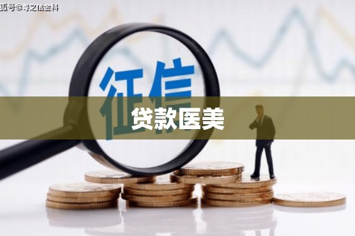 大园贷款医美