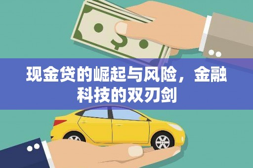 大园现金贷的崛起与风险，金融科技的双刃剑