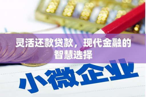 大园灵活还款贷款，现代金融的智慧选择