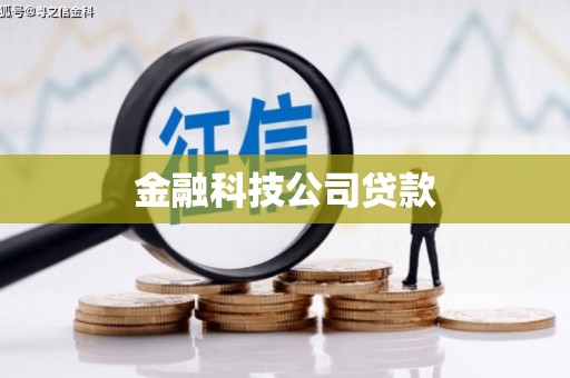 大园金融科技公司贷款