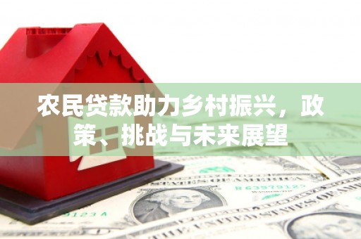 大园农民贷款助力乡村振兴，政策、挑战与未来展望