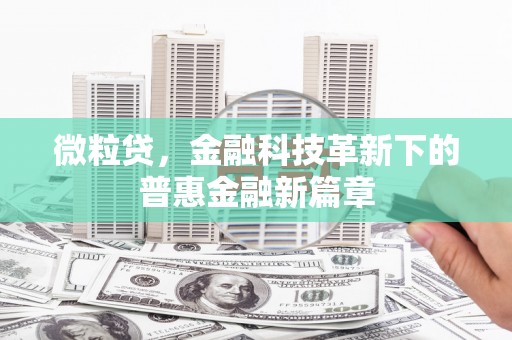 大园微粒贷，金融科技革新下的普惠金融新篇章