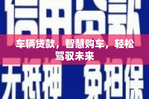 大园车辆贷款，智慧购车，轻松驾驭未来