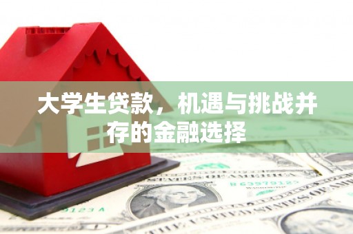 大园大学生贷款，机遇与挑战并存的金融选择