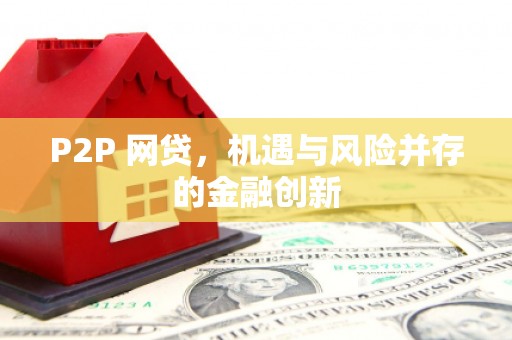 大园P2P 网贷，机遇与风险并存的金融创新