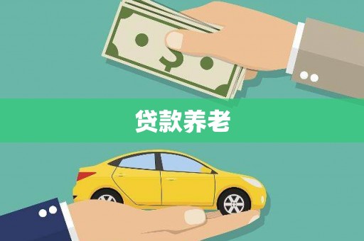 大园贷款养老