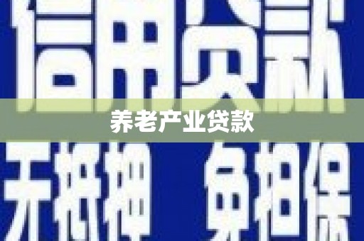 大园养老产业贷款