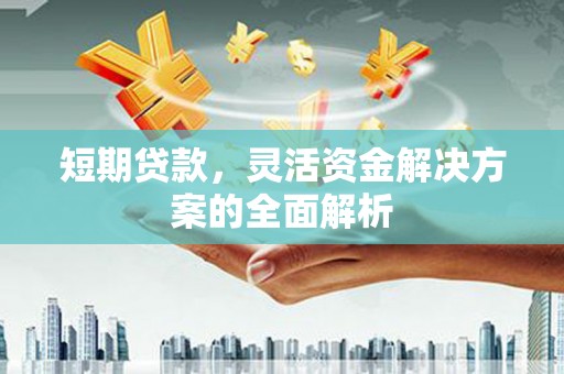 大园短期贷款，灵活资金解决方案的全面解析