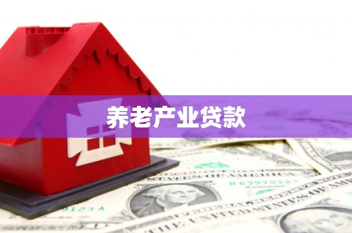 大园养老产业贷款