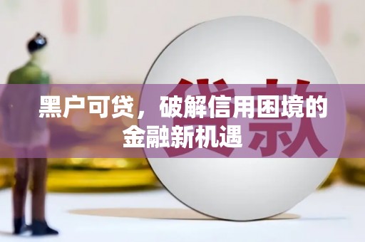 大园黑户可贷，破解信用困境的金融新机遇