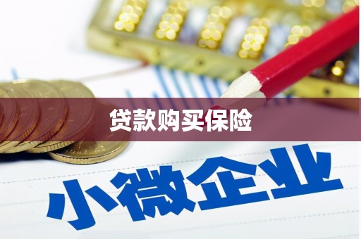 大园贷款购买保险
