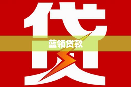 大园蓝领贷款