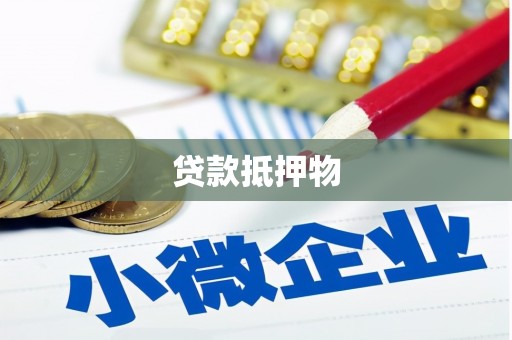 大园贷款抵押物