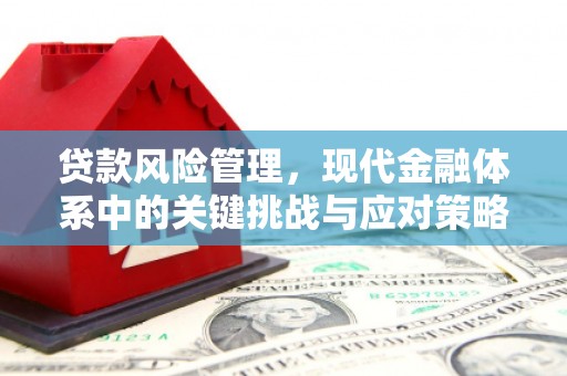大园贷款风险管理，现代金融体系中的关键挑战与应对策略