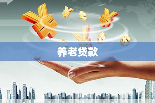大园养老贷款