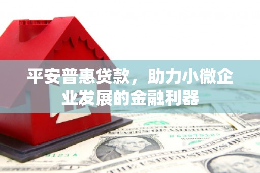 大园平安普惠贷款，助力小微企业发展的金融利器