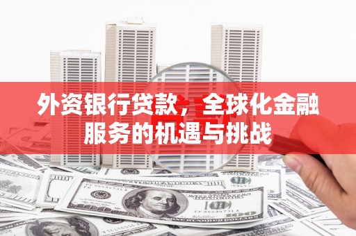 大园外资银行贷款，全球化金融服务的机遇与挑战