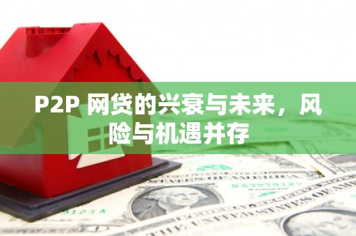 大园P2P 网贷的兴衰与未来，风险与机遇并存