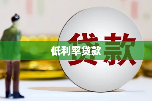 大园低利率贷款