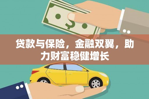大园贷款与保险，金融双翼，助力财富稳健增长