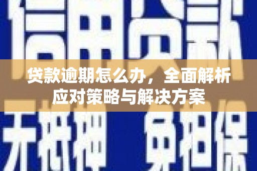 大园贷款逾期怎么办，全面解析应对策略与解决方案