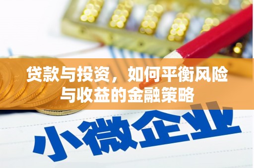 大园贷款与投资，如何平衡风险与收益的金融策略