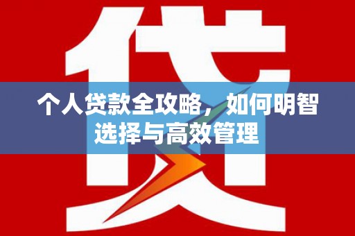 大园个人贷款全攻略，如何明智选择与高效管理