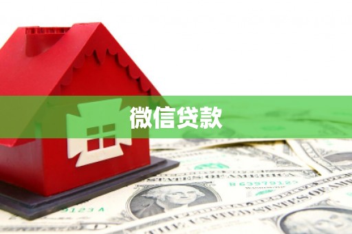 大园微信贷款