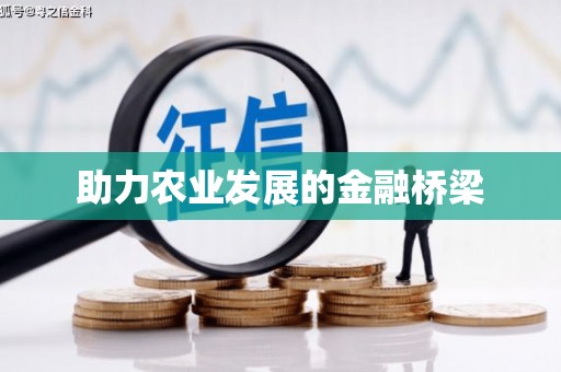 大园助力农业发展的金融桥梁