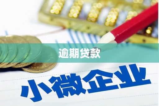 大园逾期贷款