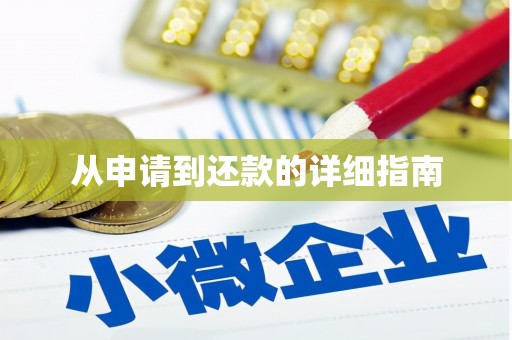 大园从申请到还款的详细指南