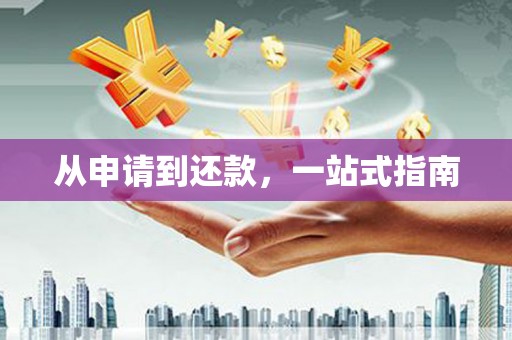 大园从申请到还款，一站式指南