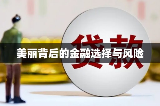 大园美丽背后的金融选择与风险