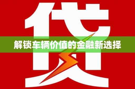 大园解锁车辆价值的金融新选择