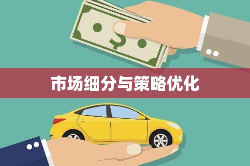 大园市场细分与策略优化