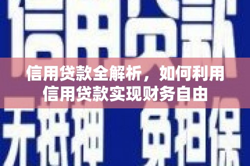 大园信用贷款全解析，如何利用信用贷款实现财务自由