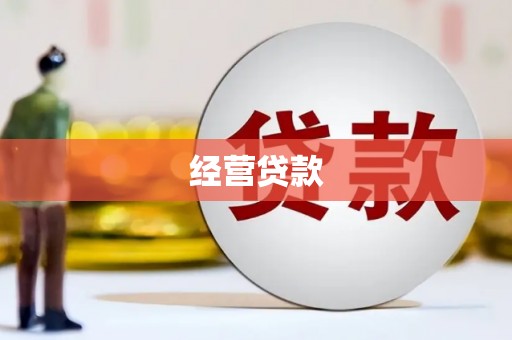 大园经营贷款