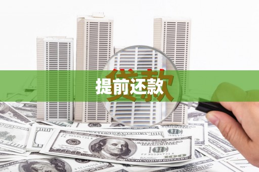 大园提前还款