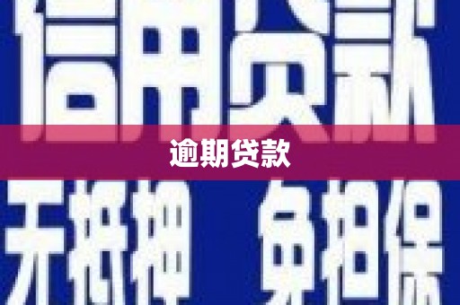 大园逾期贷款