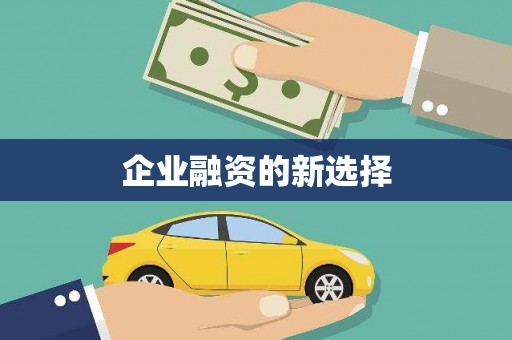 大园企业融资的新选择