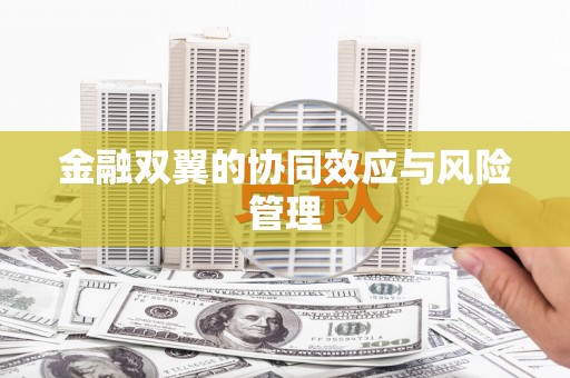 大园金融双翼的协同效应与风险管理