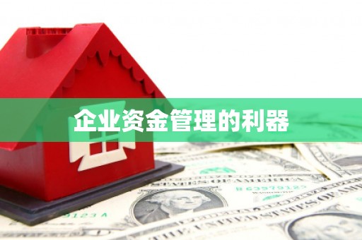 大园企业资金管理的利器